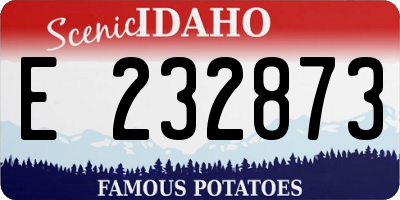 ID license plate E232873