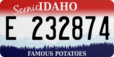 ID license plate E232874