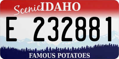 ID license plate E232881