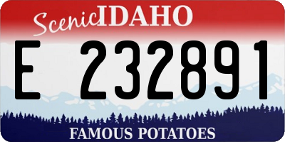 ID license plate E232891