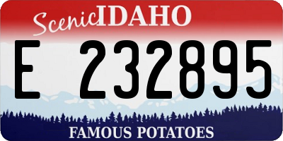 ID license plate E232895