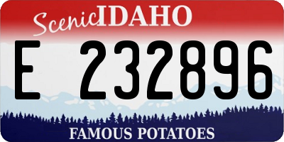 ID license plate E232896