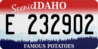 ID license plate E232902