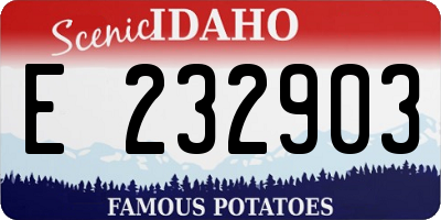 ID license plate E232903
