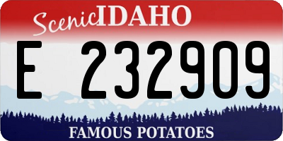 ID license plate E232909