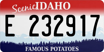 ID license plate E232917