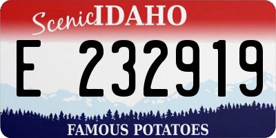 ID license plate E232919