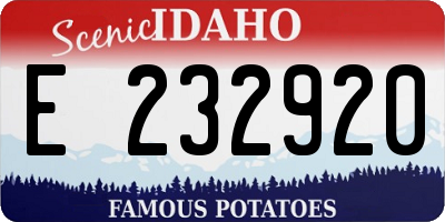 ID license plate E232920