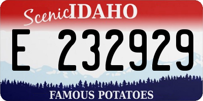 ID license plate E232929