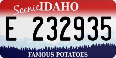 ID license plate E232935