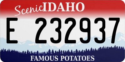ID license plate E232937