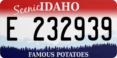 ID license plate E232939