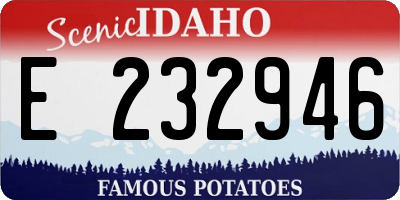ID license plate E232946