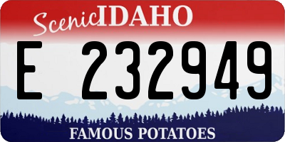 ID license plate E232949