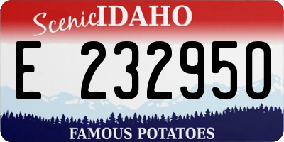 ID license plate E232950
