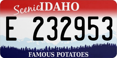ID license plate E232953