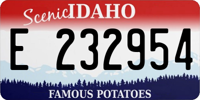 ID license plate E232954