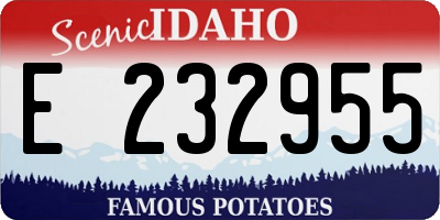 ID license plate E232955