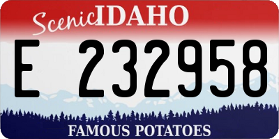 ID license plate E232958