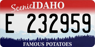 ID license plate E232959
