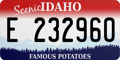 ID license plate E232960