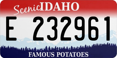 ID license plate E232961