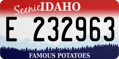 ID license plate E232963