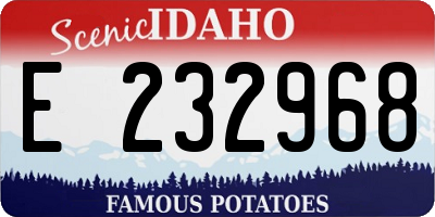 ID license plate E232968