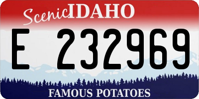ID license plate E232969