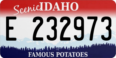 ID license plate E232973