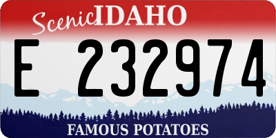 ID license plate E232974