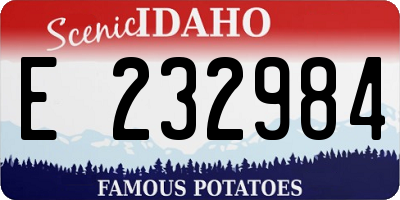 ID license plate E232984