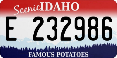 ID license plate E232986