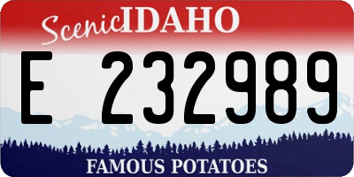 ID license plate E232989