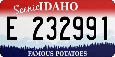 ID license plate E232991