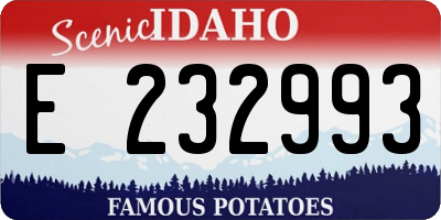 ID license plate E232993