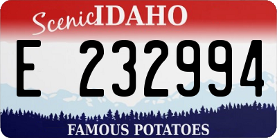 ID license plate E232994