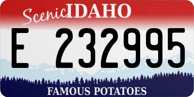 ID license plate E232995