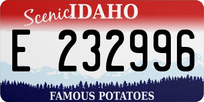 ID license plate E232996