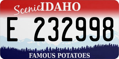 ID license plate E232998