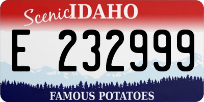 ID license plate E232999