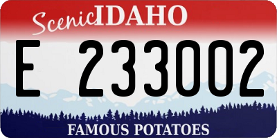 ID license plate E233002