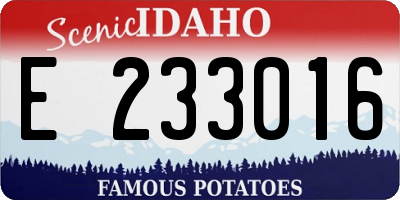 ID license plate E233016
