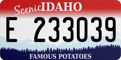 ID license plate E233039