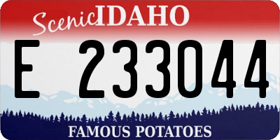 ID license plate E233044