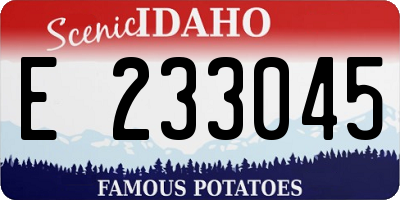 ID license plate E233045