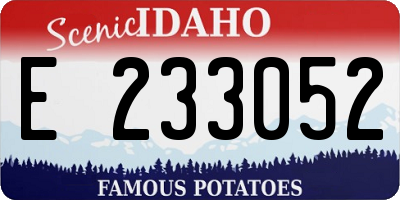 ID license plate E233052