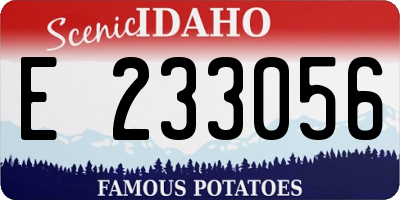 ID license plate E233056