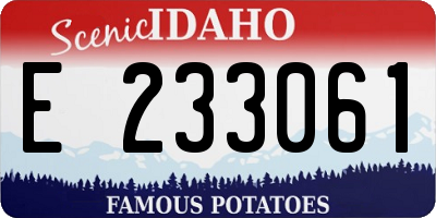 ID license plate E233061