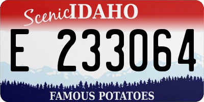 ID license plate E233064